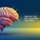 Success100x.com: Unlock the Key Success Factors